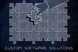 An illustration about custom software consulting solutions including fixing bugs