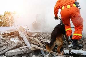 Search and rescue forces conducting rescue operation during a natural disaster